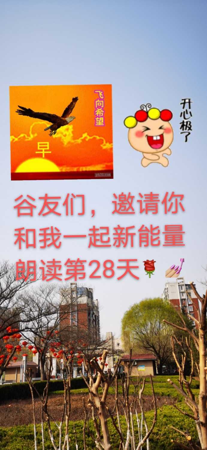 mmexport1614126675936.jpg