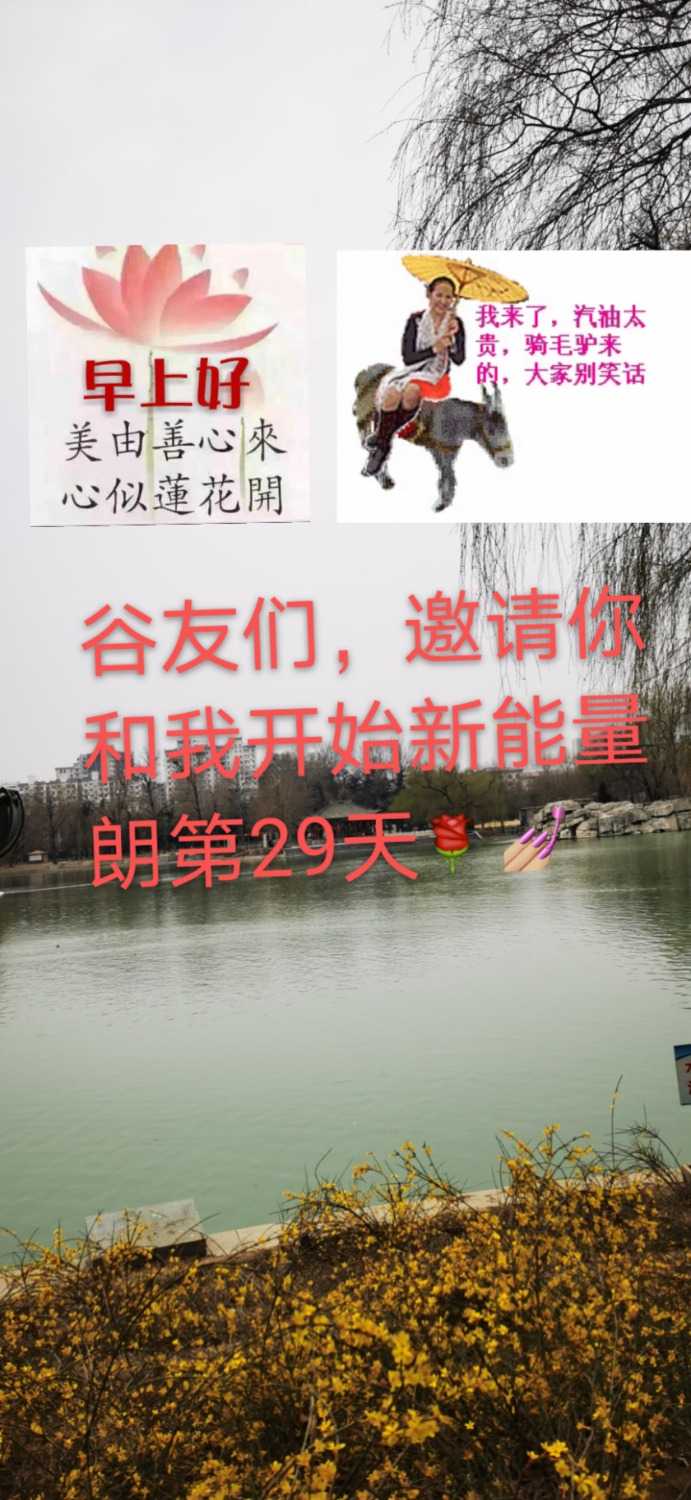 mmexport1614216897182.jpg