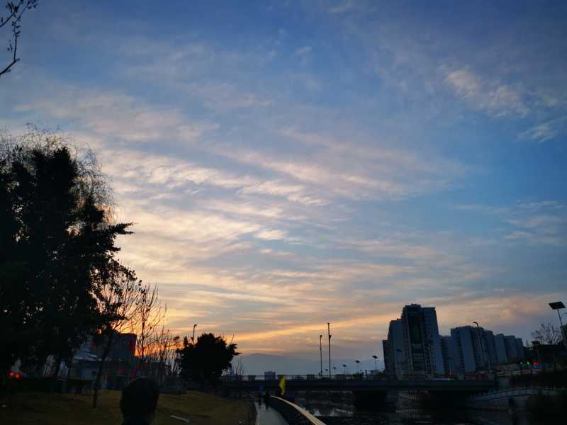 IMG_20210220_074957.jpg