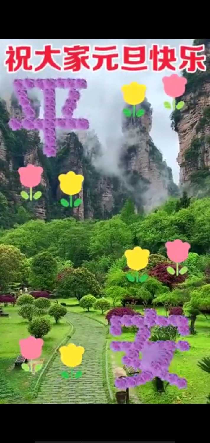 Screenshot_2020-12-31-18-25-55-07.jpg