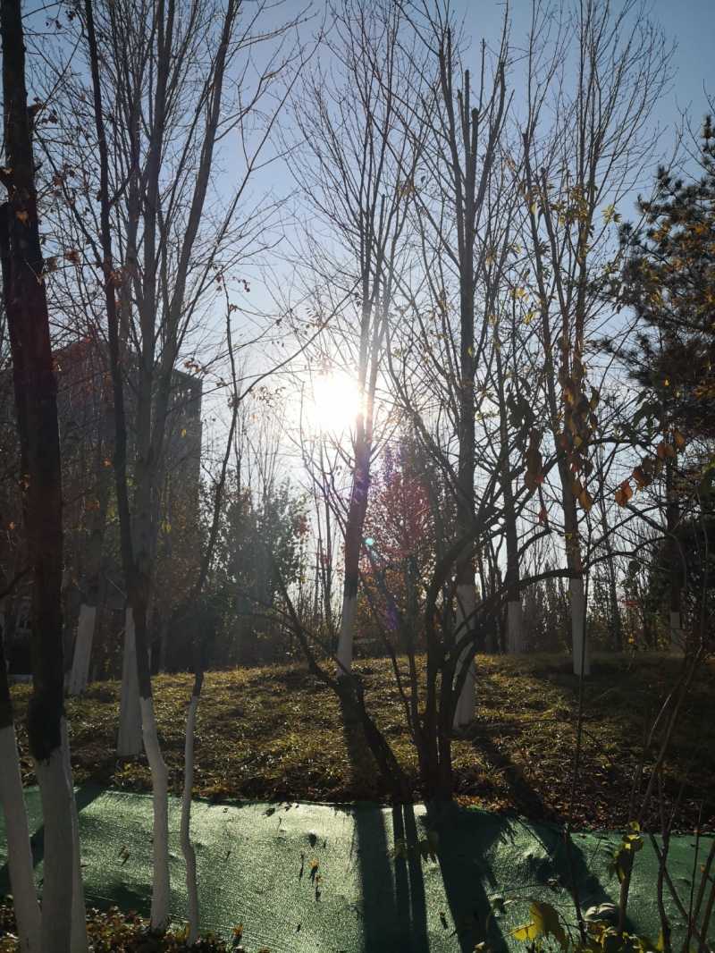 IMG_20201123_092905.jpg