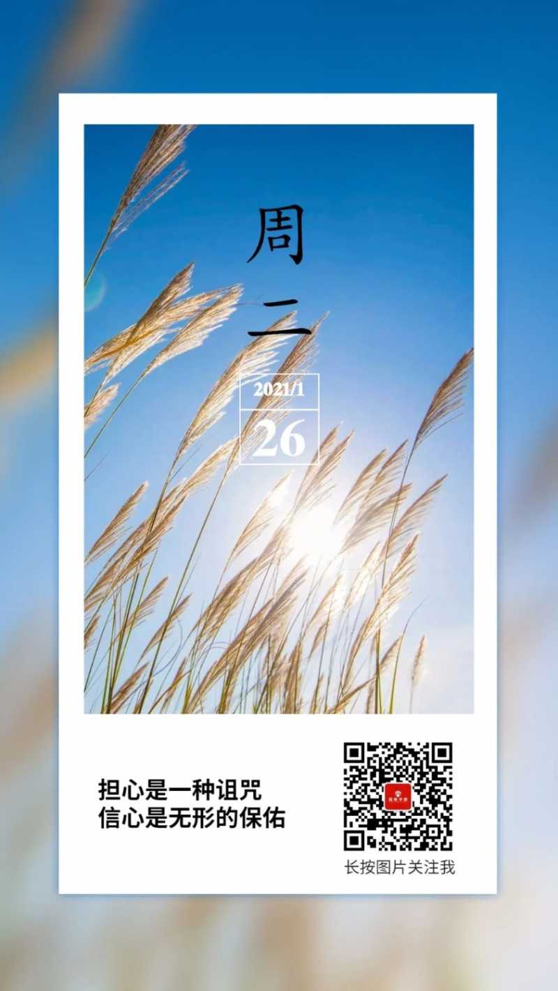 C7632577-7AA0-4154-AC67-5AE02D9FE6F9.jpeg