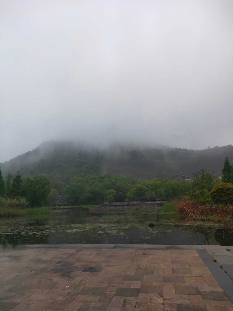 IMG20210412082343.jpg