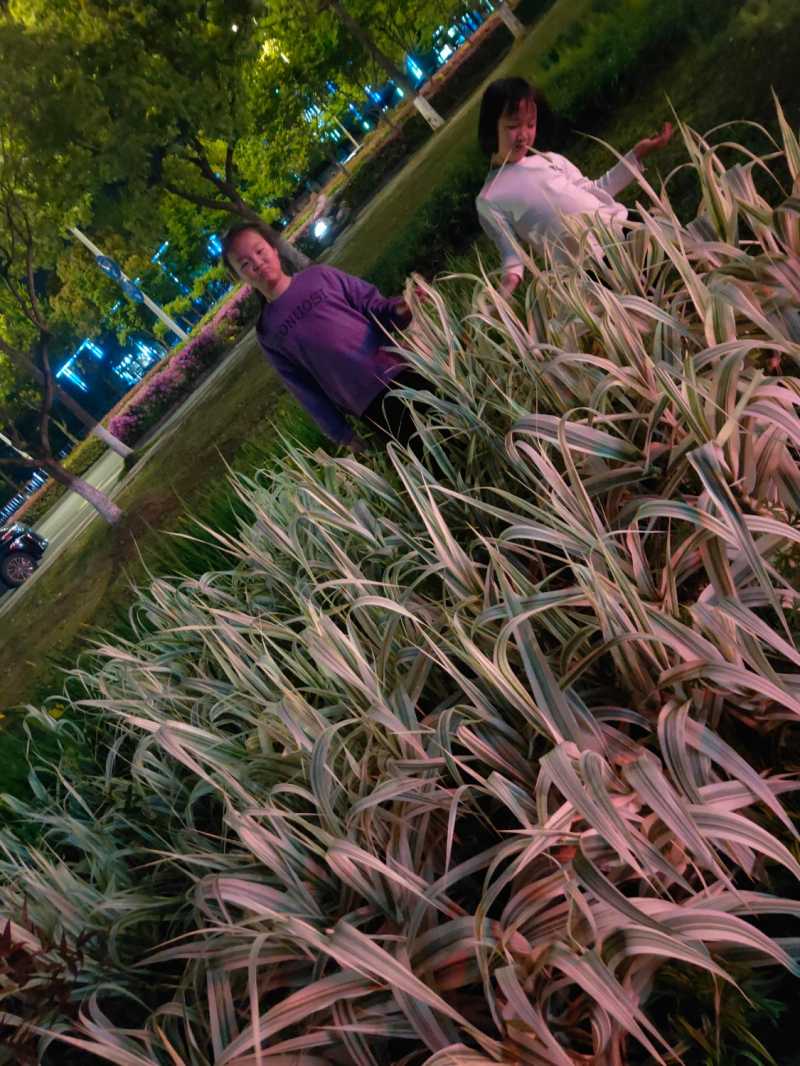 IMG20210418191801.jpg