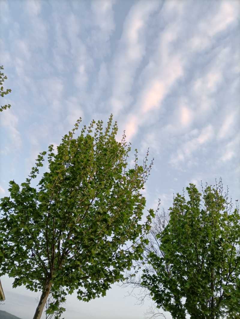 IMG_20210419_184846.jpg