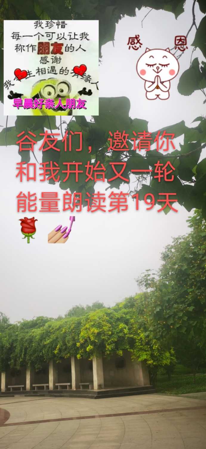 mmexport1623718195108.jpg