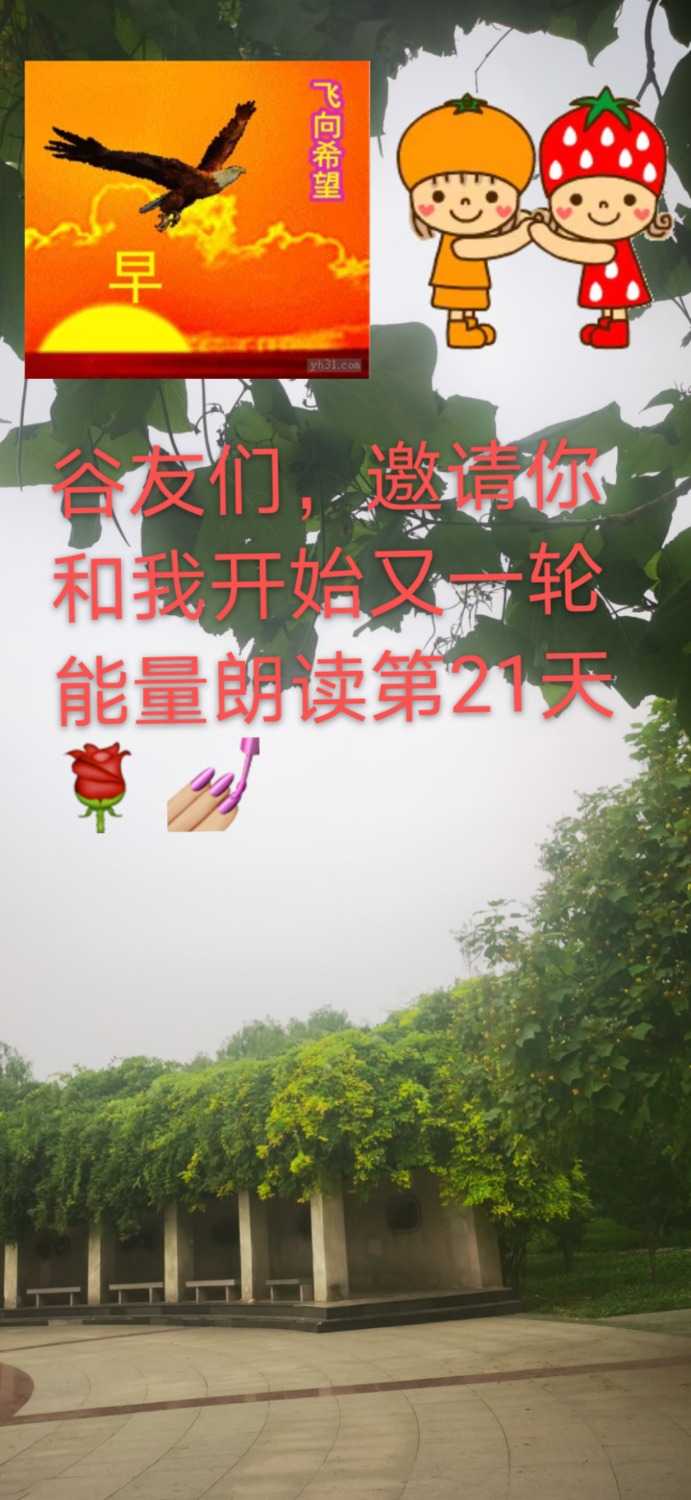 mmexport1623887042099.jpg