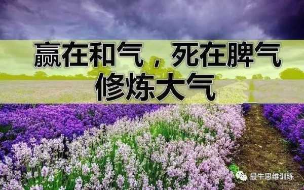 mmexportf6dbccf423e2aff744cc513d85856322_1623365738917.jpeg