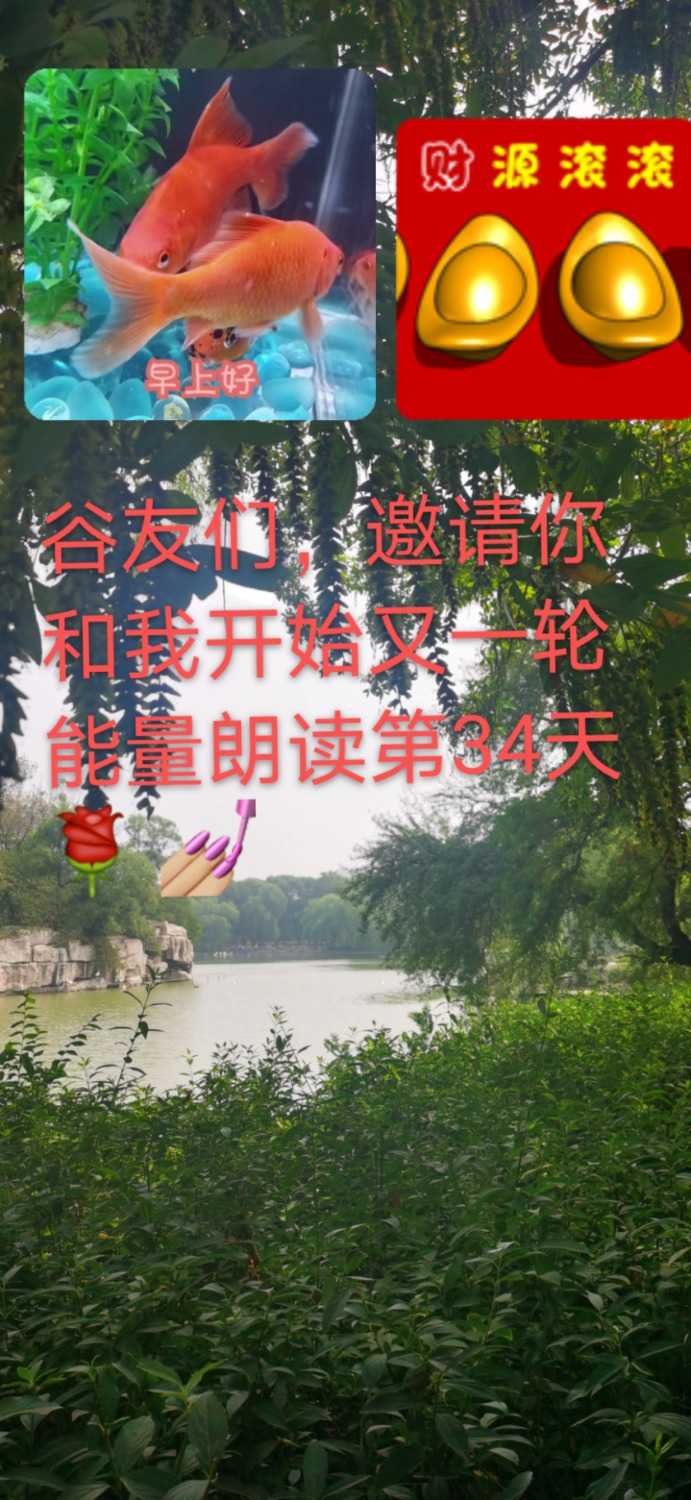 mmexport1625025499048.jpg