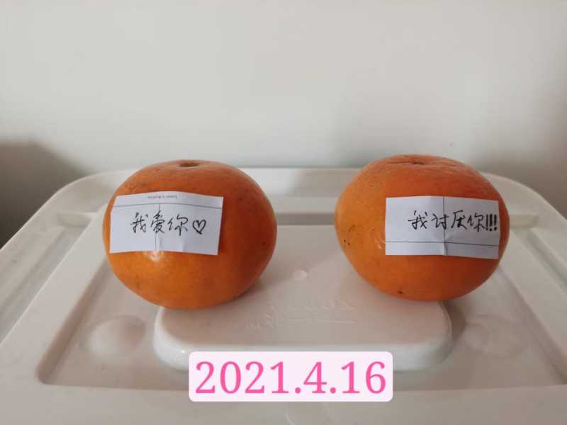 mmexport1620888572462.jpg