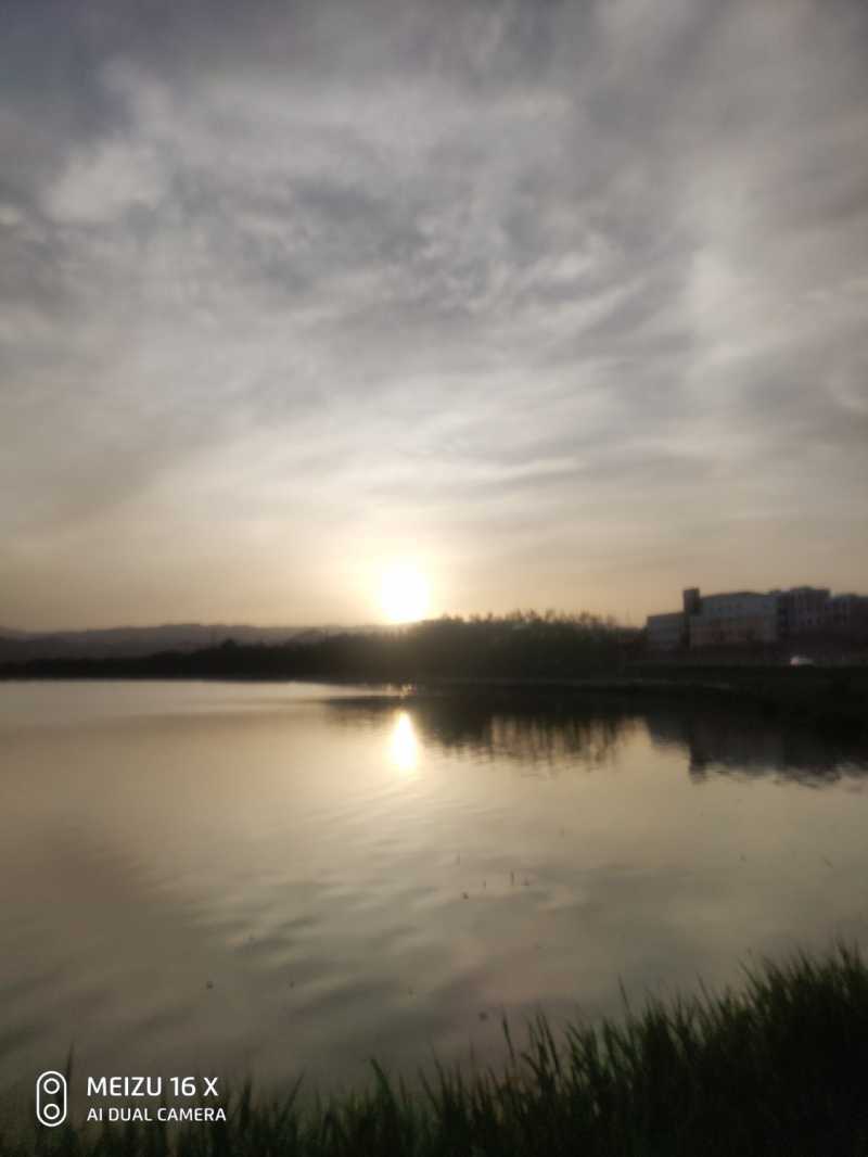 P90425-191807.jpg