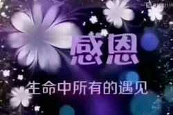 IMG_20210919_232102.jpg