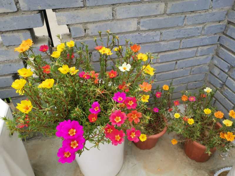 IMG_20210710_112520.jpg
