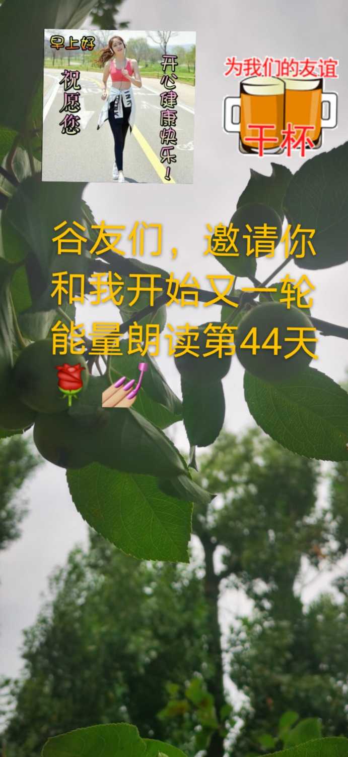 mmexport1626155435230.jpg