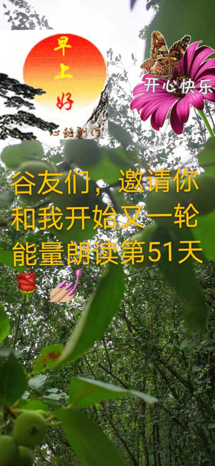 mmexport1626746889154.jpg
