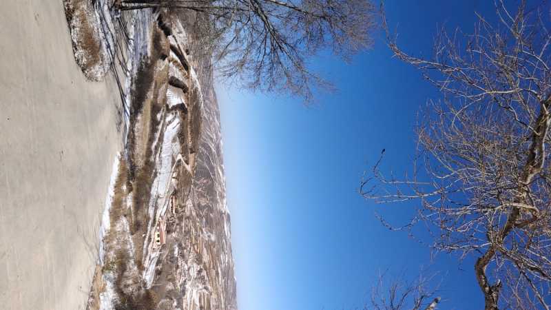 IMG_20211107_125750.jpg