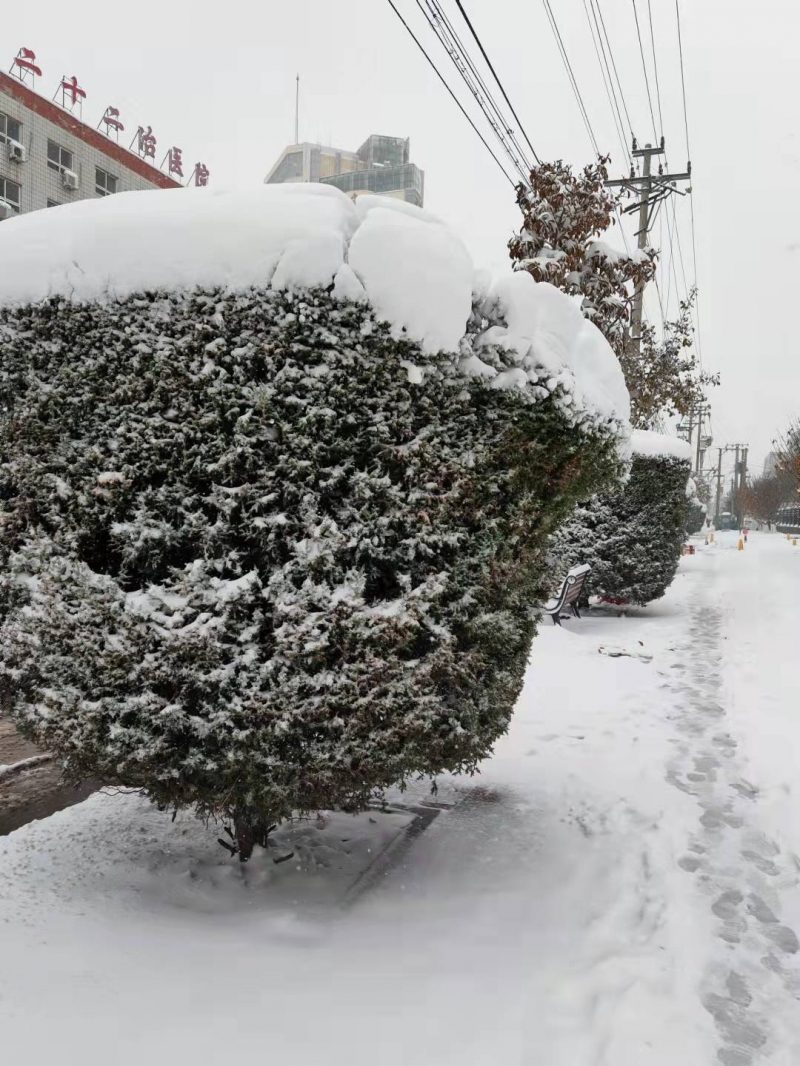 2021.11.07 ѩ��.jpg