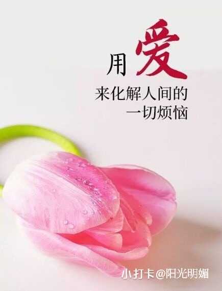 mmexport1636243662135_mh1636282923242.jpg