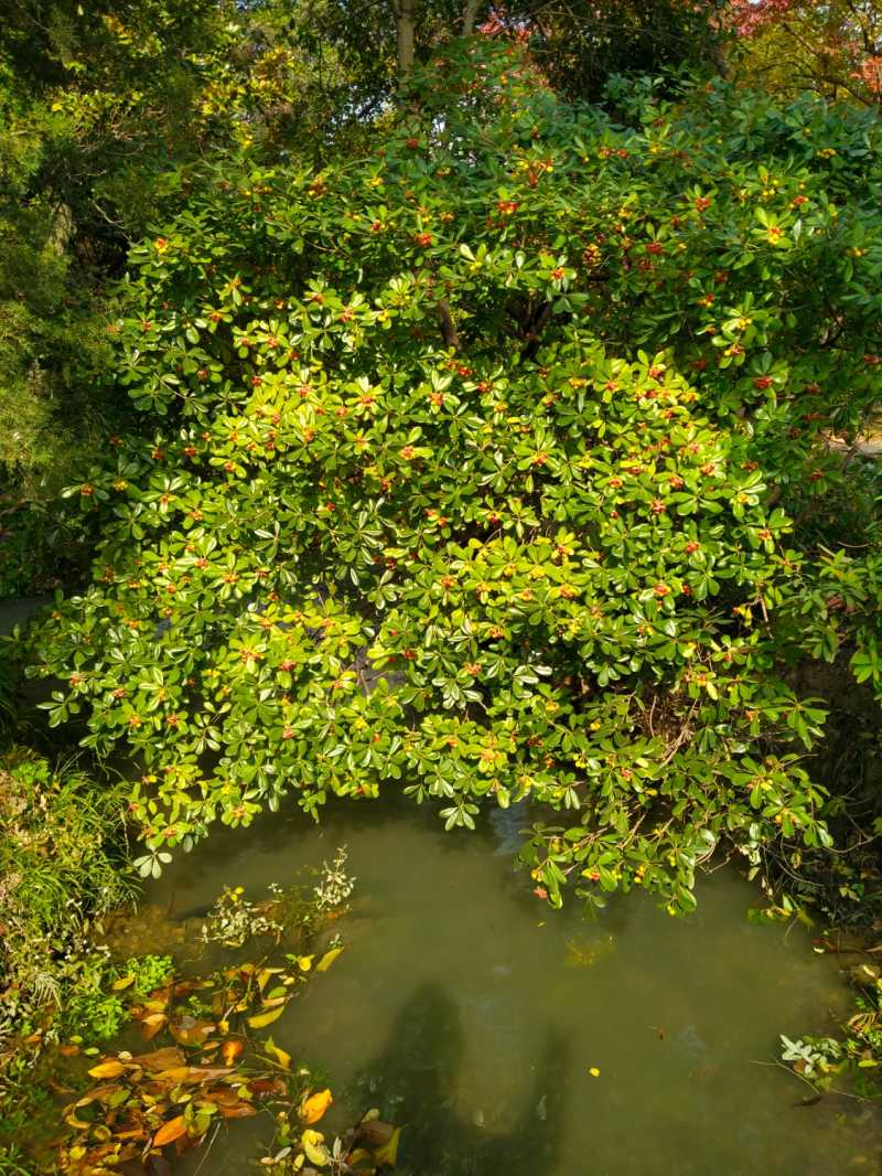 IMG20211120102545.jpg
