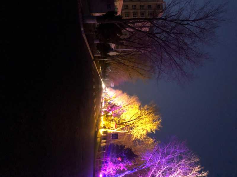77F54420-4D6C-450A-9155-67FD4309F369.jpeg