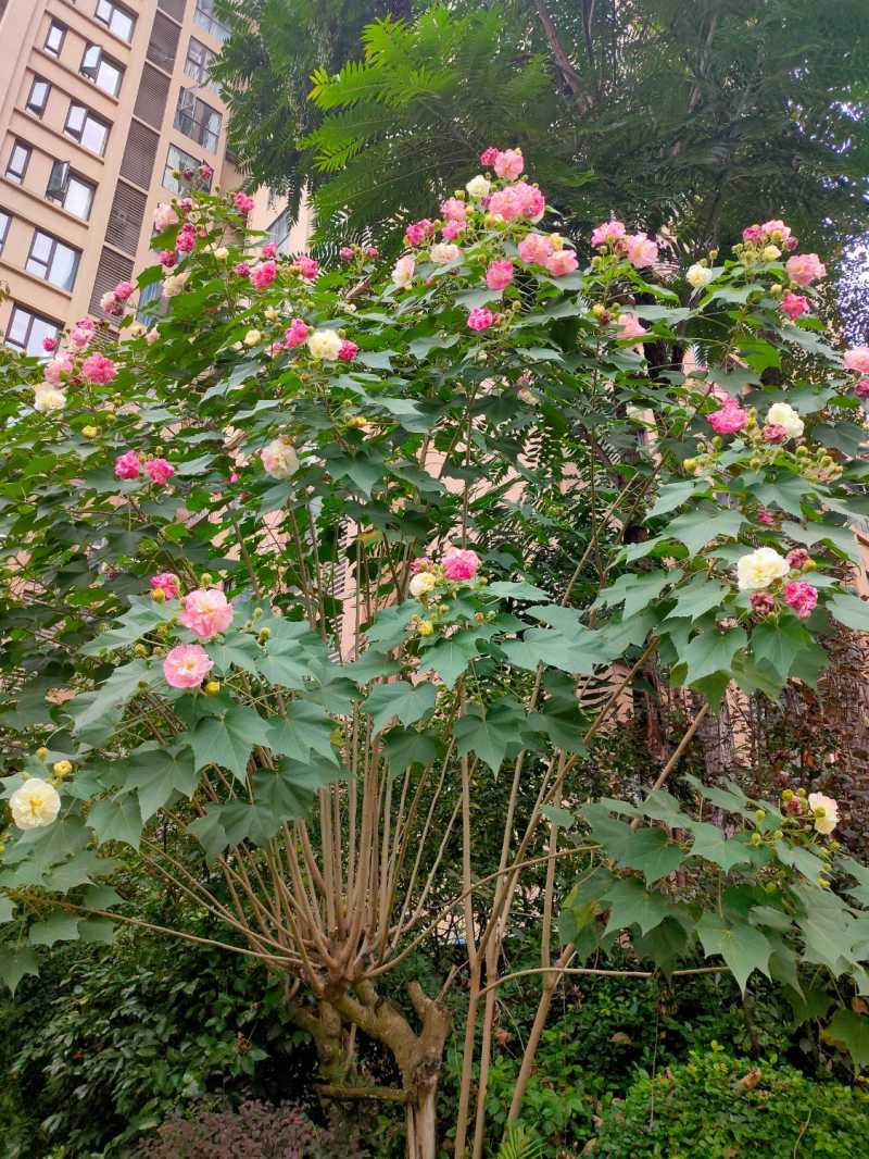 IMG20211019103127.jpg