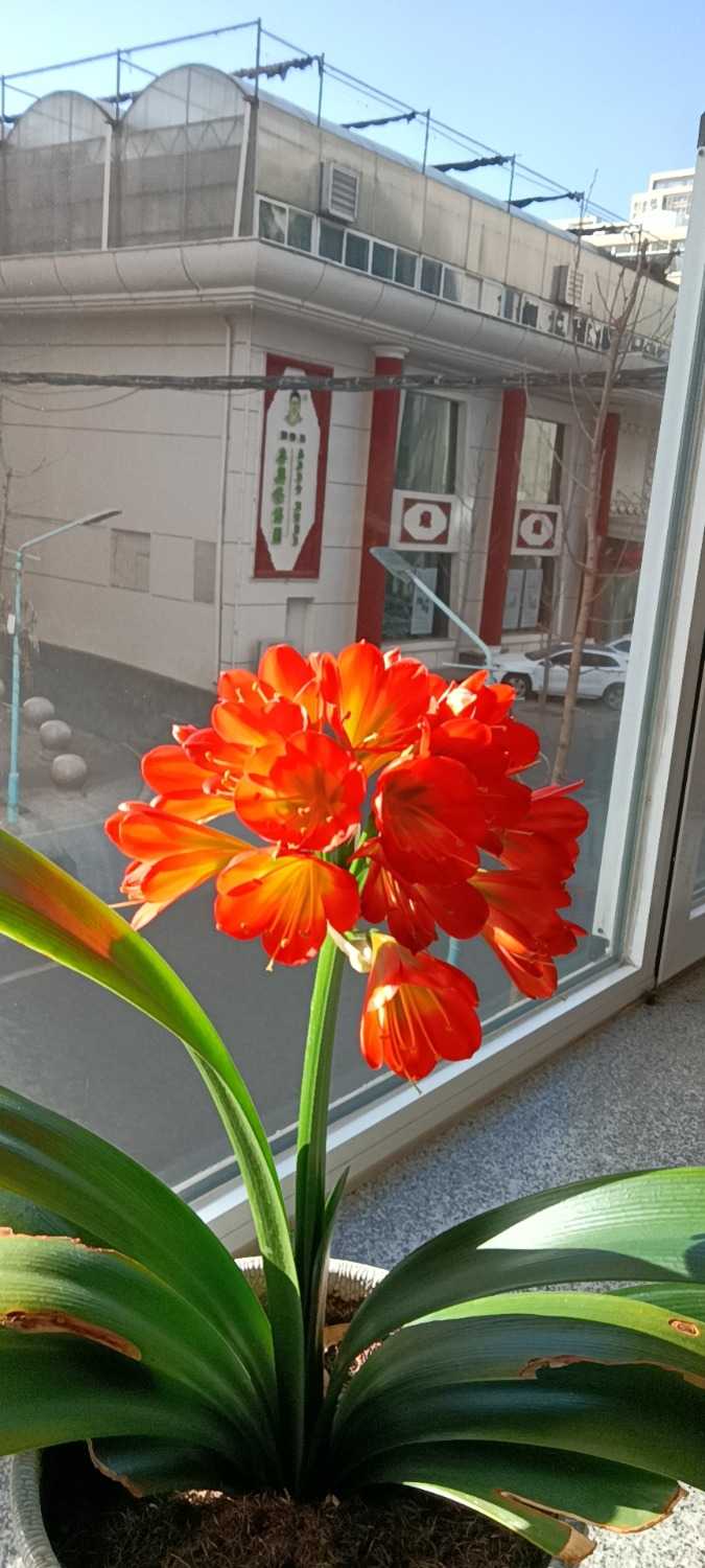 wx_camera_1647333488972.jpg
