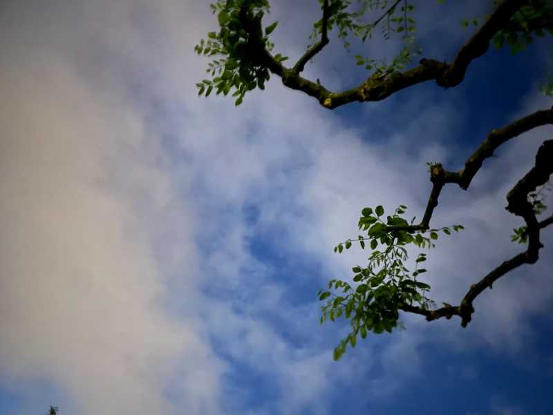 CBC562AF-CBD8-4307-937B-8251F832568E.jpeg