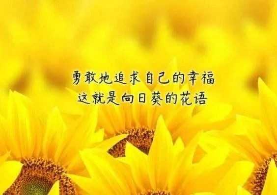 mmexport1587555014454.jpeg