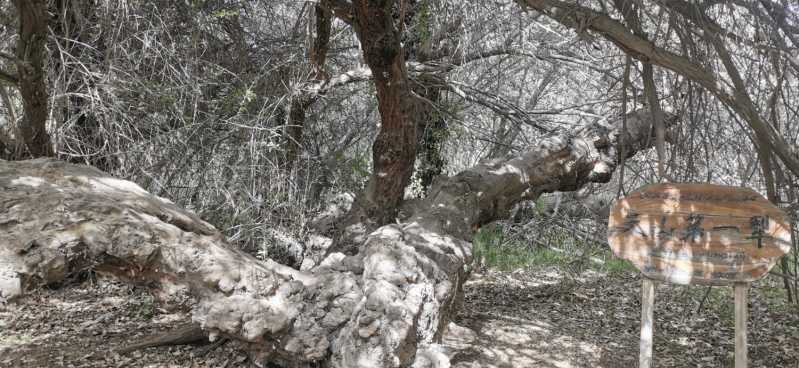 IMG_20220612_175027.jpg