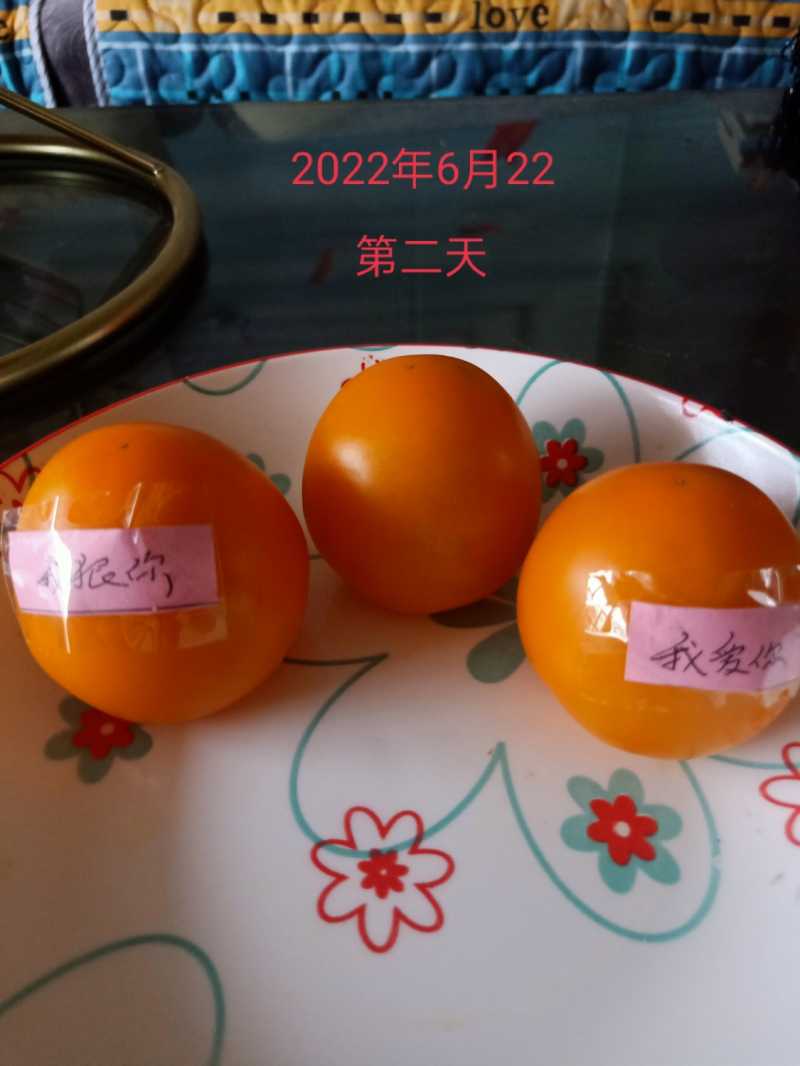 IMG_20220622_064932.jpg