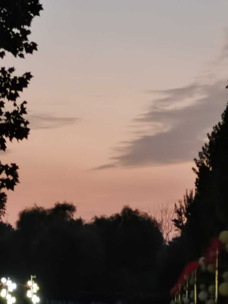 IMG_20221006_182240.jpg