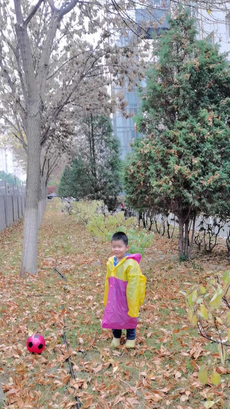 Videoframe_20221101_052150_com.huawei.himovie.jpg