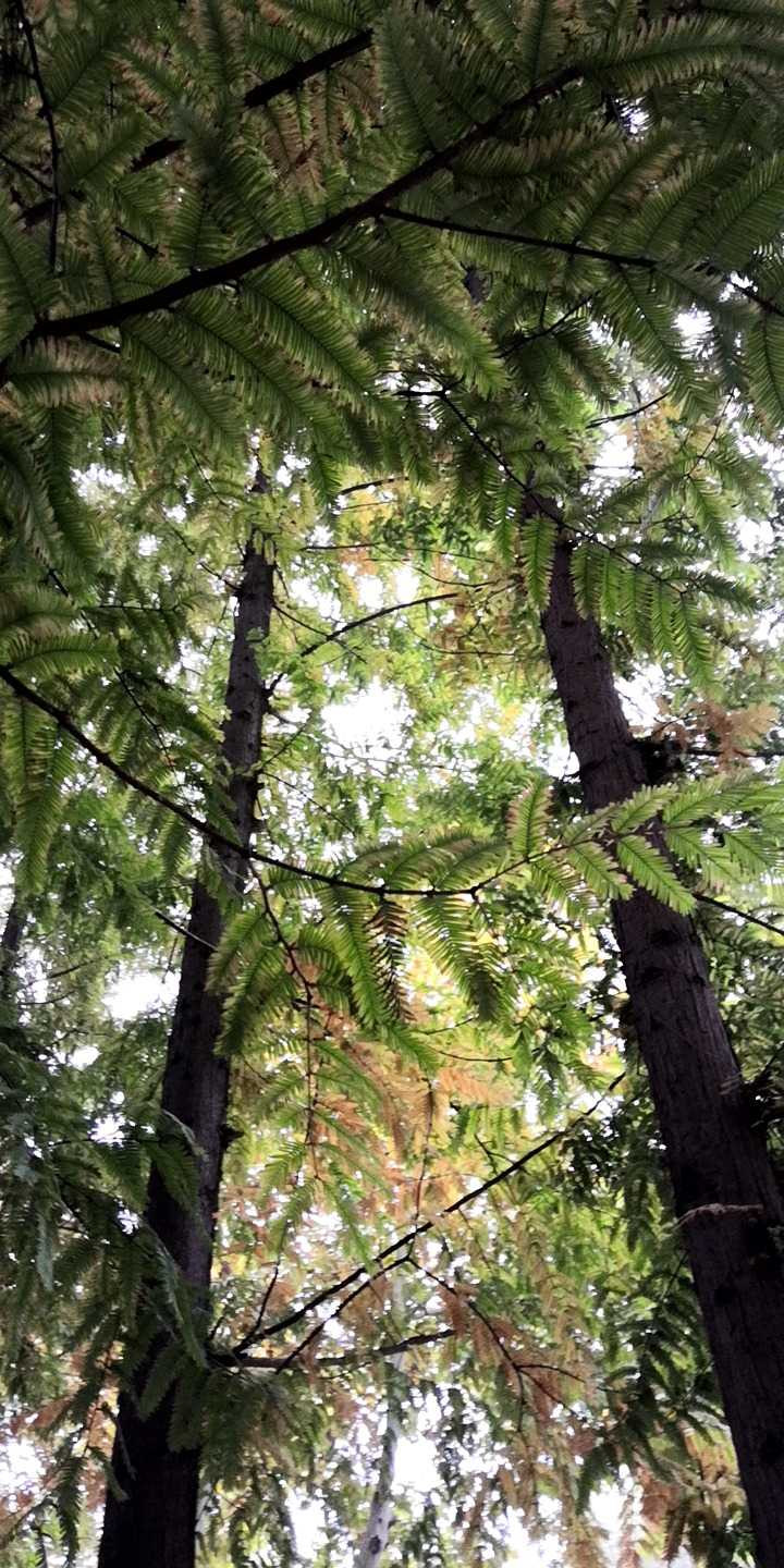 20221029115254.jpg