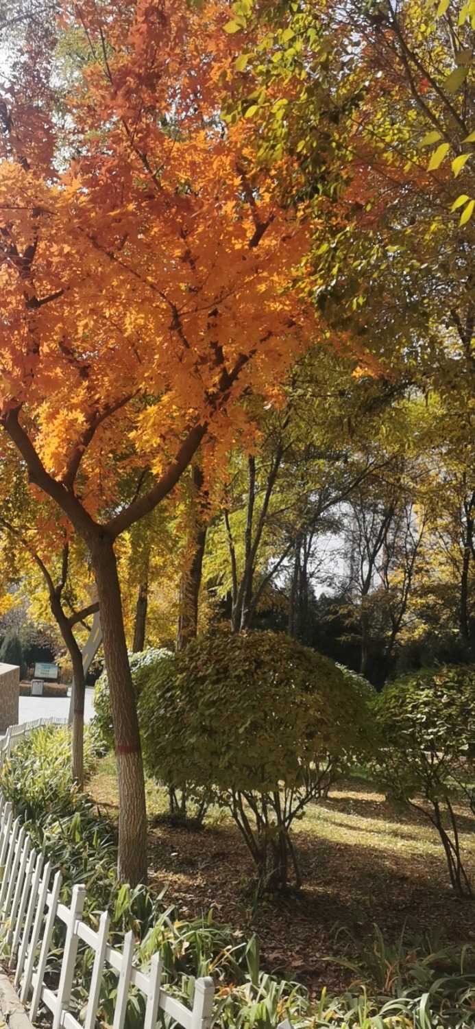 wx_camera_1666503368545.jpg