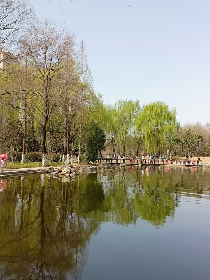 IMG20230312112647.jpg