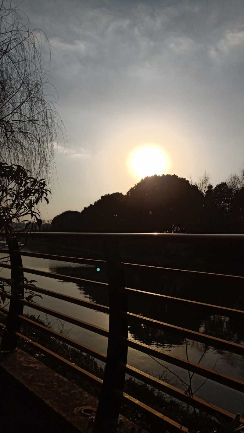 IMG20230116155550.jpg