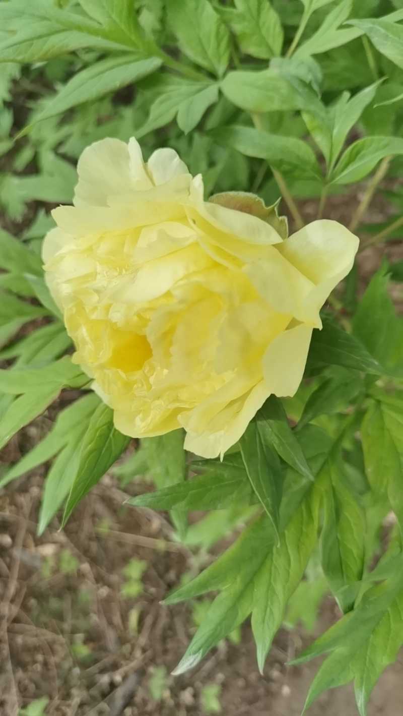 wx_camera_1683333630407.jpg