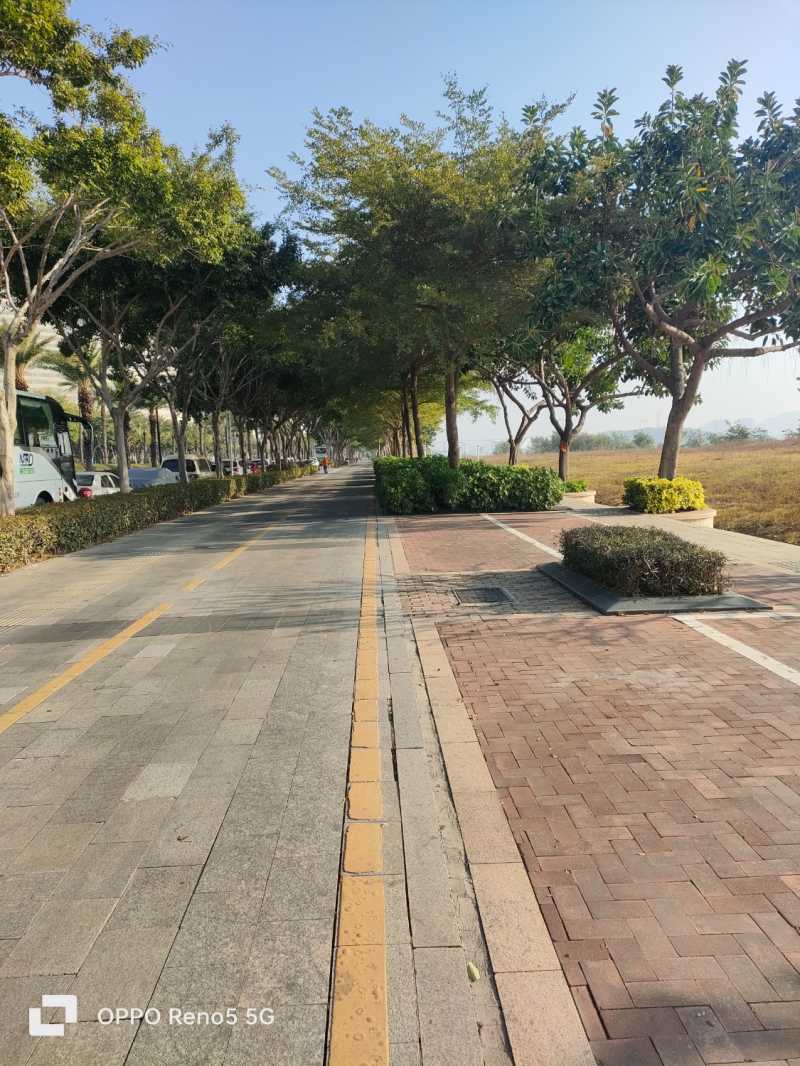 1704157287424.jpg