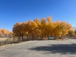 IMG_0279.jpeg