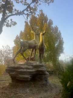 IMG_0341.jpeg
