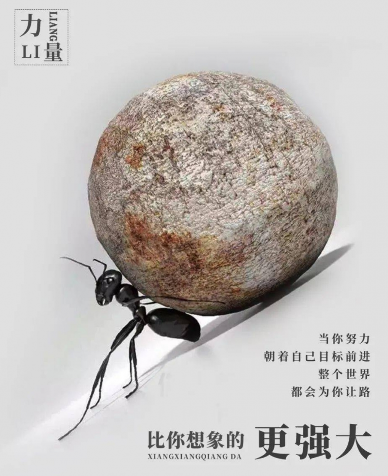 1705645554161.png