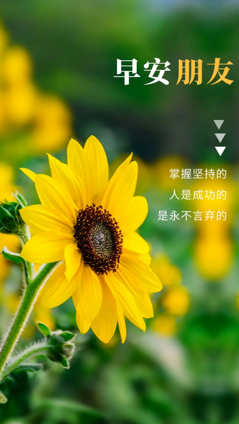 mmexport65d5f29b0bc716e24d0cfc4c84542afe_1696074381827.png