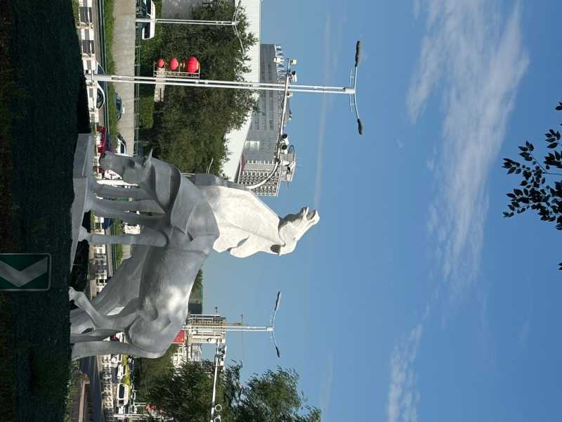 IMG_6048.jpeg