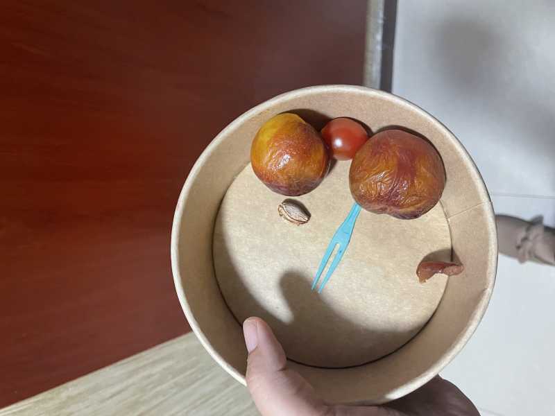 ΢��ͼƬ_202407300002351.jpg