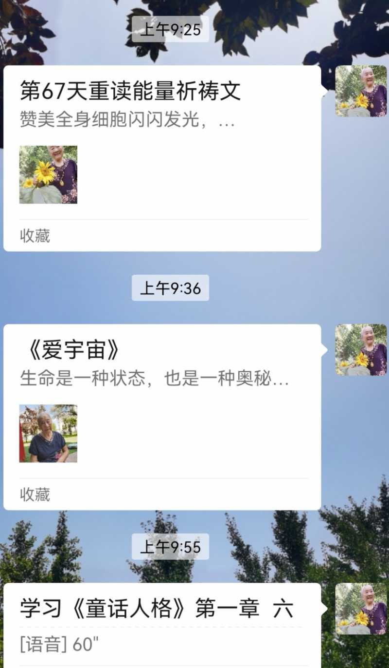 Screenshot_20240826_095714.jpg