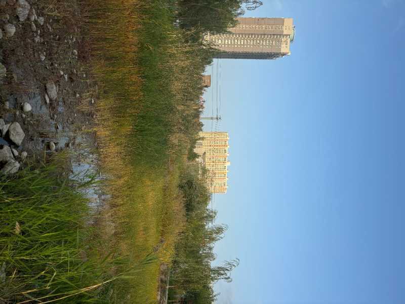 IMG_7881.jpeg