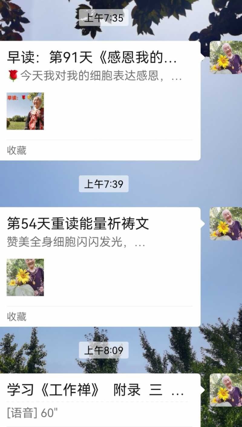 Screenshot_20240813_081105.jpg