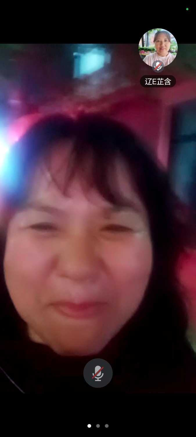 Screenshot_20241011_190809_com_tencent_wemeet_app_InMeetingActivity.jpg
