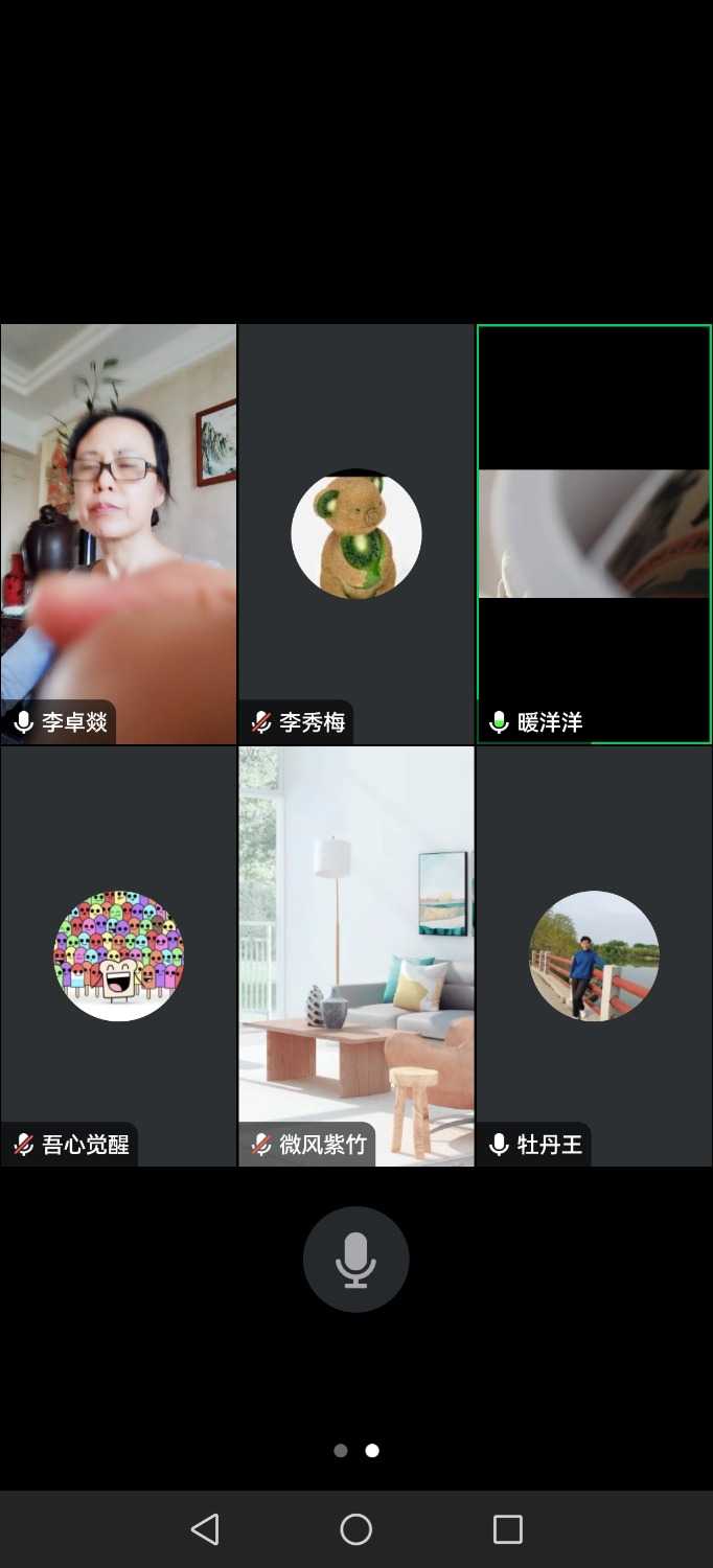 Screenshot_20241207_153842_com.tencent.wemeet.app.jpg