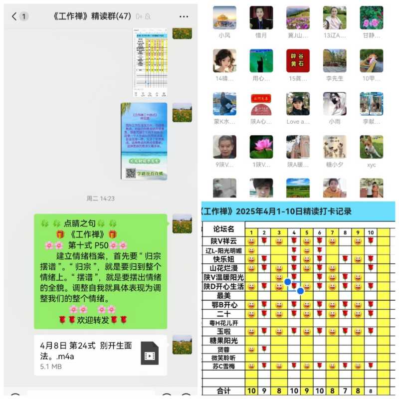 Collage_20250412_131407.jpg